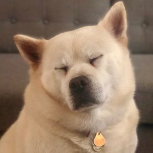 Meet your Posher, Jorge